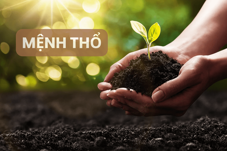 Thổ - tượng trưng cho đất đai, nơi nuôi dưỡng sự sống