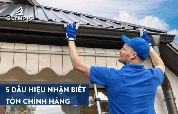 Nhận biết đúng sản phẩm chính hãng giúp đảm bảo chất lượng tôn và quyền lợi của khách hàng khi chọn mua sản phẩm
