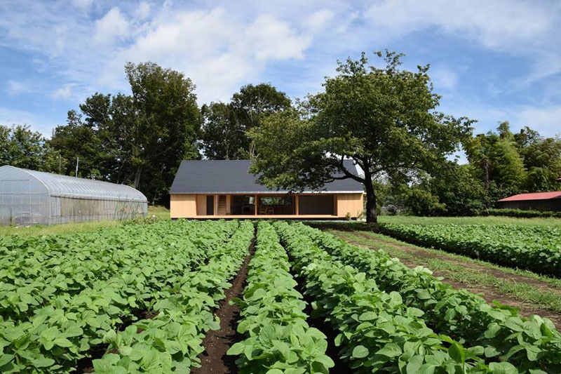 Nhà cấp 4 lợp mái tôn cách nhiệt mang lại cuộc sống thoải mái và tiện lợi