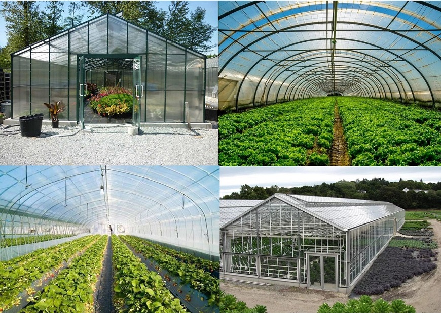 Bảo quản tấm lợp lấy sáng Olympic đúng cách sẽ giúp tấm lợp lấy sáng luôn giữ được vẻ đẹp ban đầu