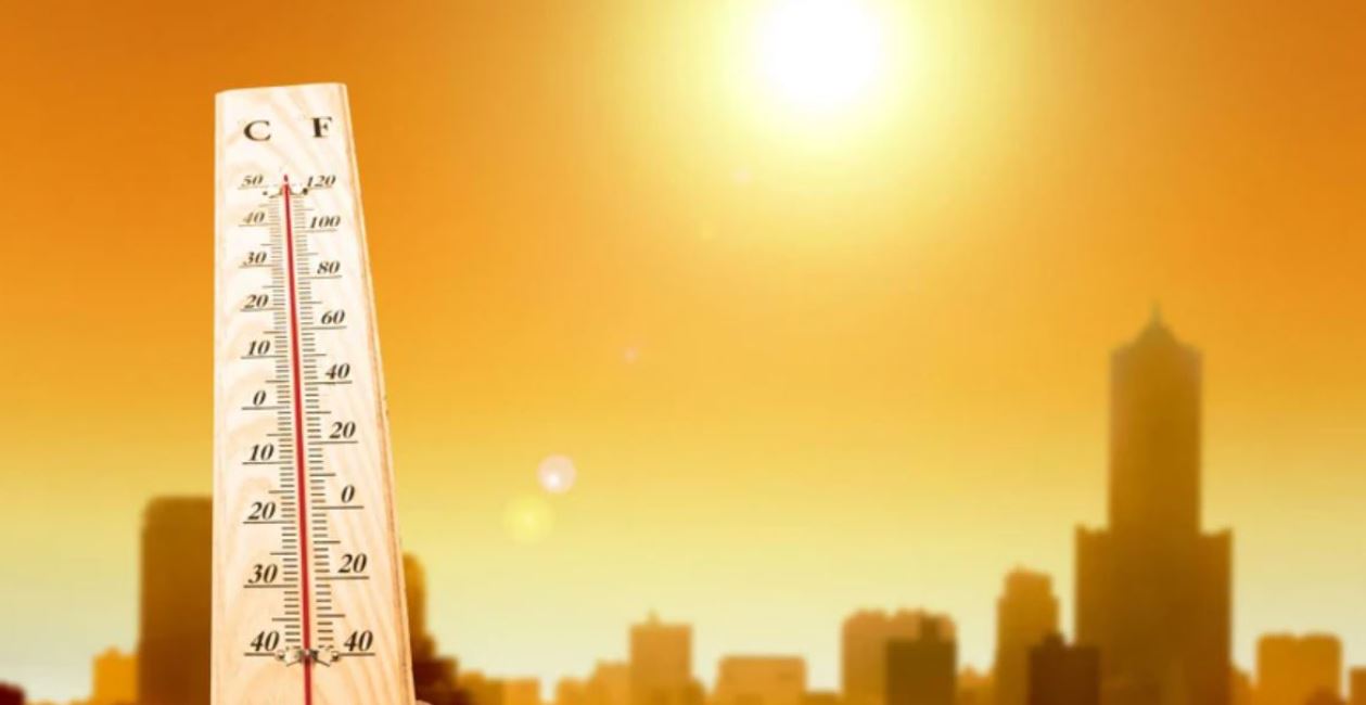 Tôn lợp mái Olympic màu ghi xám bảo vệ bạn khỏi những yếu tố khắc nghiệt của thời tiết