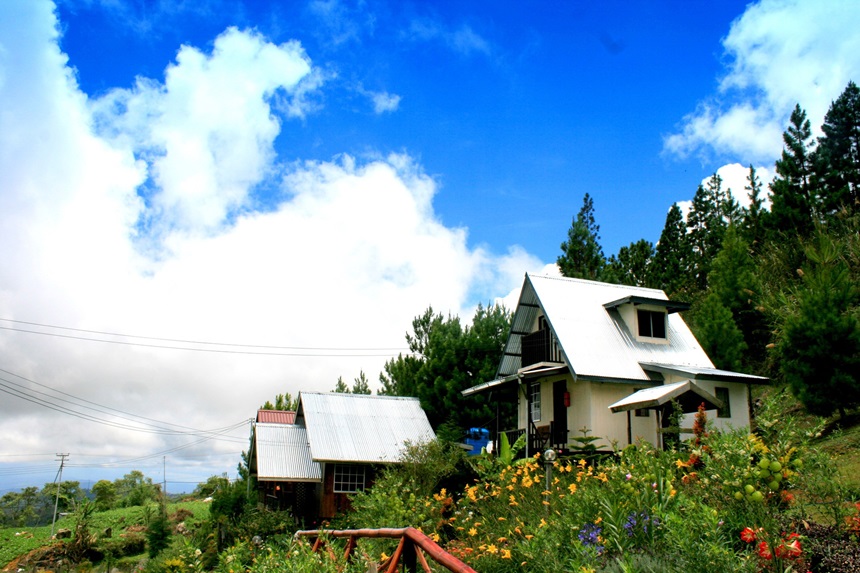 Tôn Olympic được sử dụng rộng rãi để lợp mái cho các công trình nhà ở