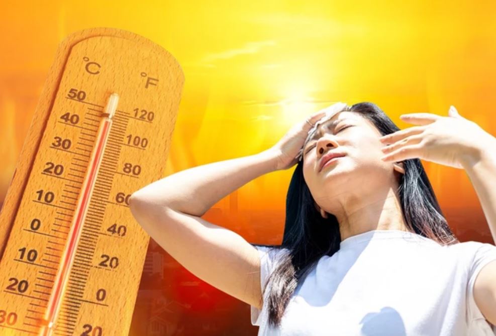 Tôn lạnh Olympic đỏ kim cương chống chọi với mọi điều kiện khắc nghiệt của thời tiết