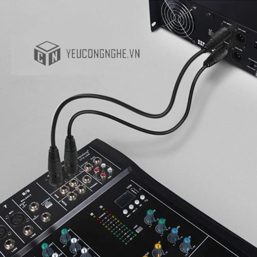 Dây Audio nối dài MIC XLR (Cannon) 6mm UGREEN AV130