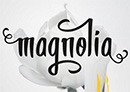 Magnolia Font - CM 227136