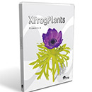 Download XFROGplants Collection - Thư Viện Cây