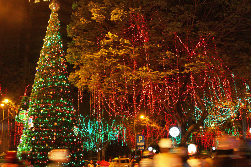 dây led trang trí cây