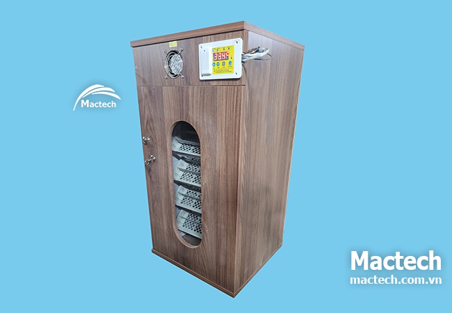 Top 3 mẫu máy ấp trứng bán chạy nhất năm 2025 – Vì sao được ưa chuộng