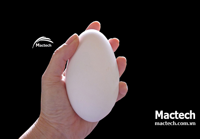 Cách ấp trứng ngỗng bằng máy ấp Mactech cho hiệu quả cao