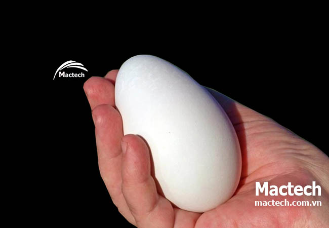 Cách ấp trứng ngỗng bằng máy ấp Mactech cho hiệu quả cao