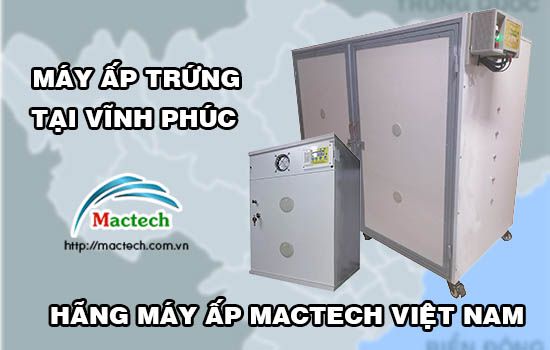 Bán máy ấp trứng tại Vĩnh Phúc