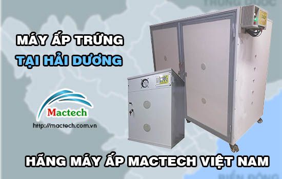 Bán máy ấp trứng tại Hải Dương