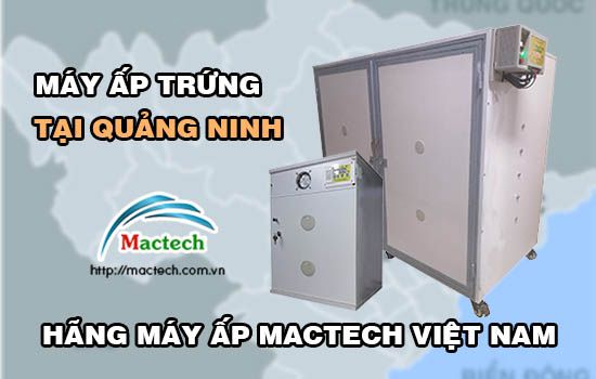 Bán máy ấp trứng tại Quảng Ninh