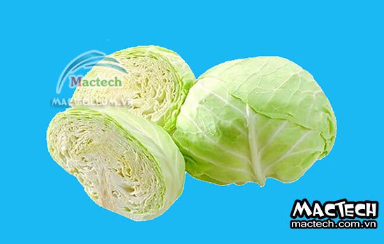 Máy sấy thăng hoa bắp cải Mactech