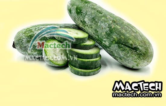 Bí xanh sấy bị hỏng, nguyên nhân và hướng khắc phục