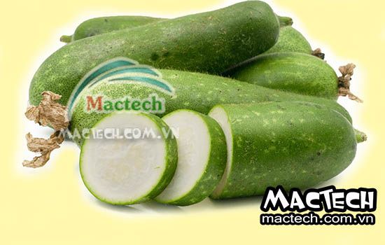 Bí xanh sấy bị hỏng, nguyên nhân và hướng khắc phục