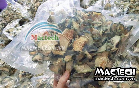 Bí đao sấy khô, hướng dẫn cách làm bằng máy sấy Mactech