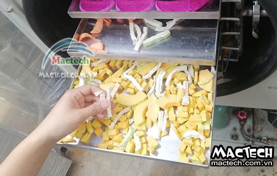 Đánh giá các dòng máy sấy nông sản phù hợp cho hộ kinh doanh nhỏ