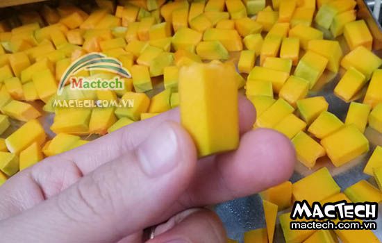 Bảo quản nông sản hiệu quả với máy sấy công nghệ cao