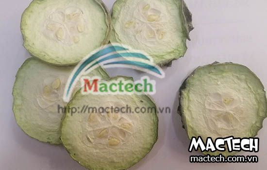 Máy sấy thăng hoa Mactech, sấy đông khô các sản phẩm cao cấp