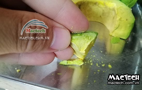 Máy sấy thăng hoa quả bơ Mactech, sấy khô ăn liền cao cấp
