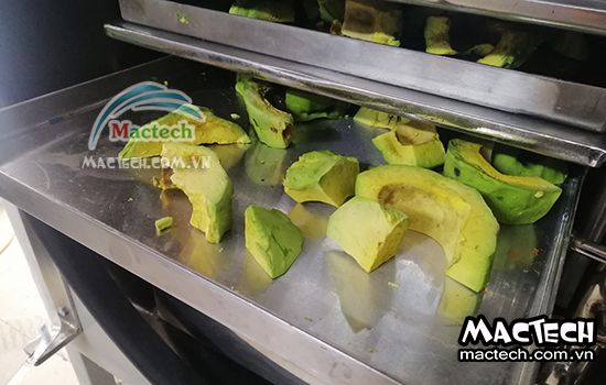 Máy sấy thăng hoa quả bơ Mactech, sấy khô ăn liền cao cấp
