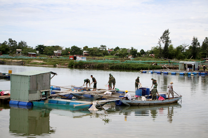 cá nuôi bè chết trắng