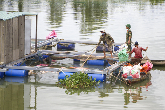 cá nuôi bè chết trắng