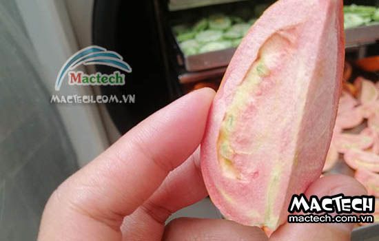 Máy sấy thăng hoa cà chua Mactech