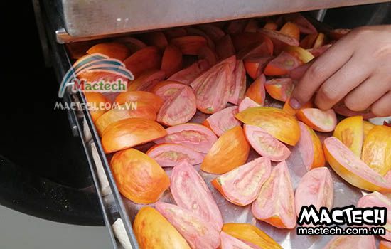 Máy sấy thăng hoa cà chua Mactech