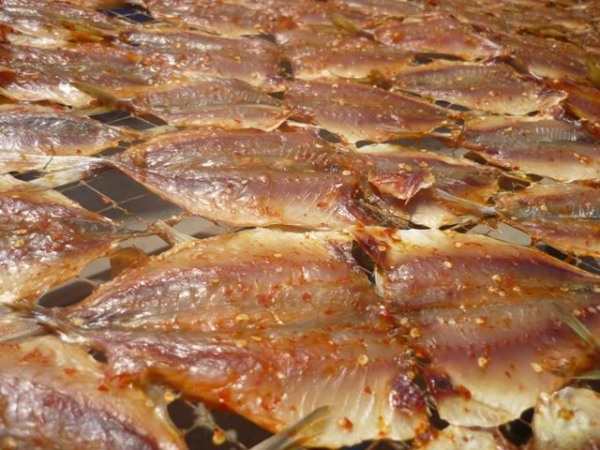 Sấy khô cá chỉ vàng