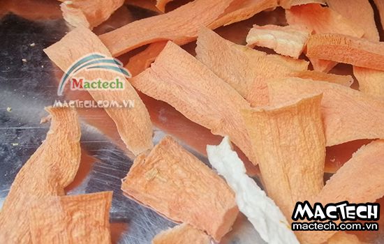 Máy sấy thăng hoa cà rốt Mactech