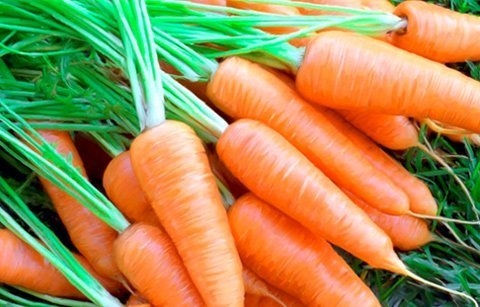 Cách làm mứt cà rốt thơm ngon chuẩn vị