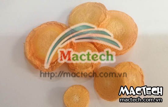 Máy sấy thăng hoa Mactech, sấy đông khô các sản phẩm cao cấp