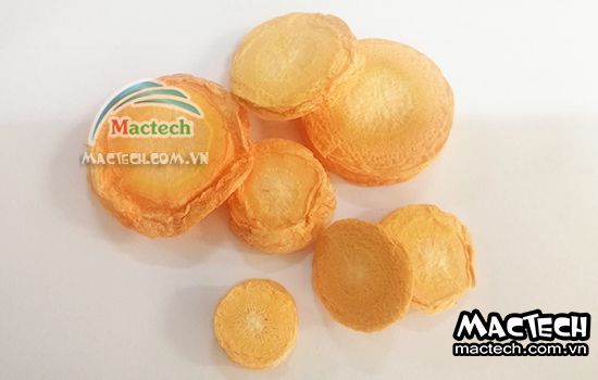 Máy sấy thăng hoa cà rốt Mactech