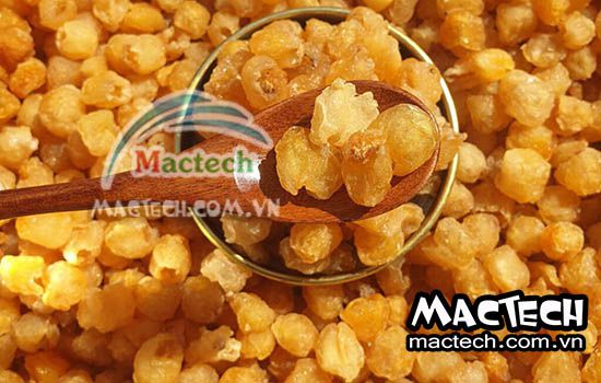 Cách làm long nhãn tại nhà không cần máy sấy