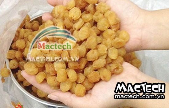 Cách làm long nhãn tại nhà không cần máy sấy