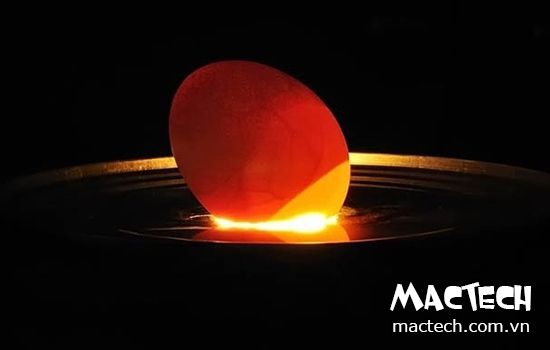 Cách soi trứng gà sắp nở, dấu hiệu nhận biết trứng sắp nở khi soi trứng