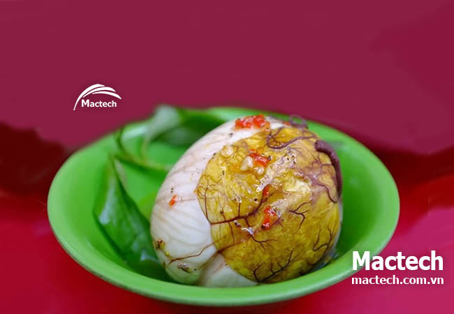 Ấp trứng lộn có lãi được nhiều không