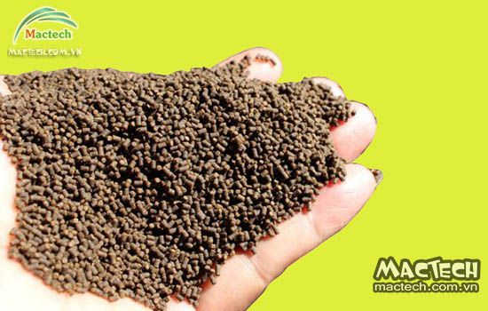 Máy sấy cám cá Mactech, sấy khô nhanh đảm bảo chất lượng