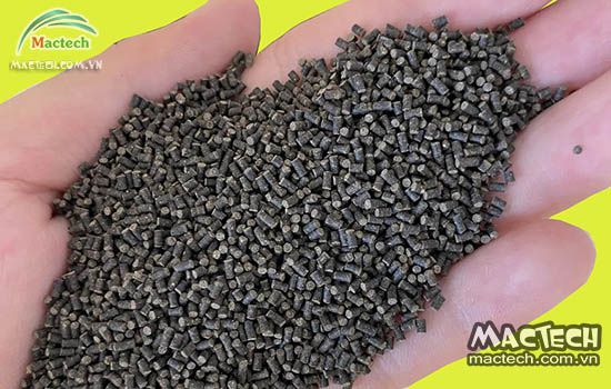 Máy sấy cám cá Mactech, sấy khô nhanh đảm bảo chất lượng