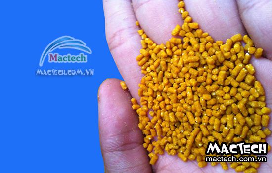 Máy sấy cám chim Mactech