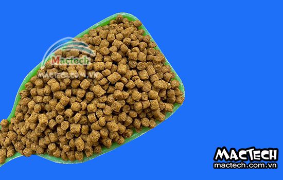 Máy sấy cám chim Mactech