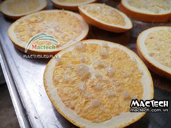 Máy sấy thăng hoa cam Mactech, sấy khô ăn liền cao cấp