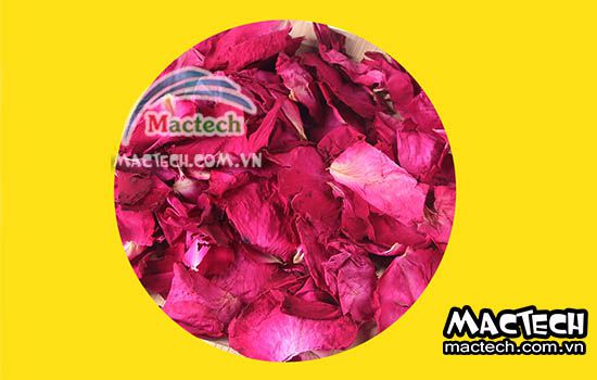 Thời gian sấy cánh hoa hồng, sấy bao lâu thì khô hẳn