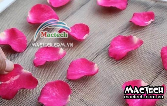 Sấy cánh hoa hồng nên chọn loại máy sấy nào cho phù hợp