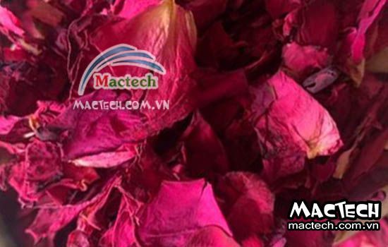 Sấy cánh hoa hồng nên chọn loại máy sấy nào cho phù hợp