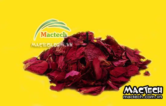 Sấy cánh hoa hồng nên chọn loại máy sấy nào cho phù hợp