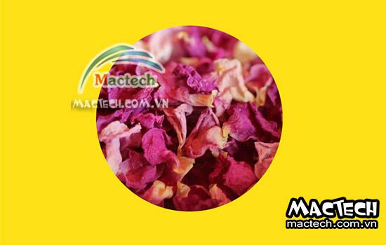 Nhiệt độ sấy cánh hoa hồng bao nhiêu, 50 hay 70 độ C là tốt