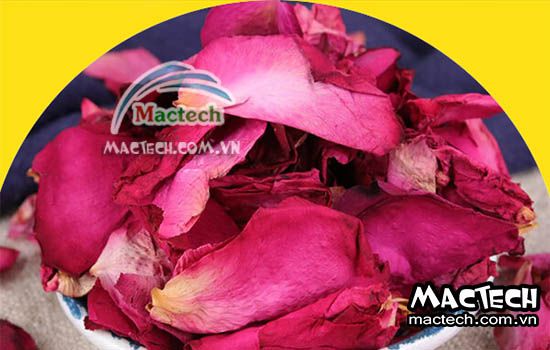 Cánh hoa hồng có nên sấy thăng hoa không, tại sao lại như vậy?
